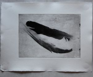 Photo printed on film